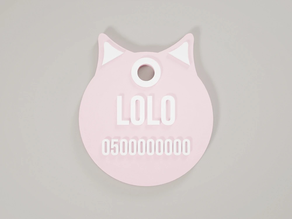 Cat collar tag with a name – 3