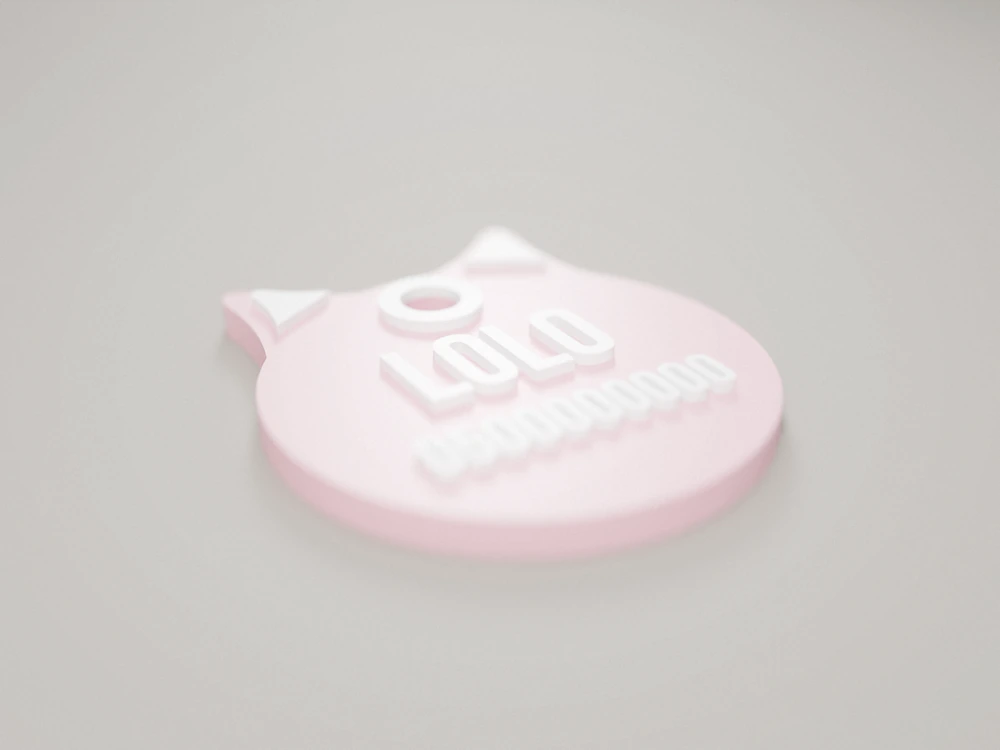 Cat collar tag with a name – 2