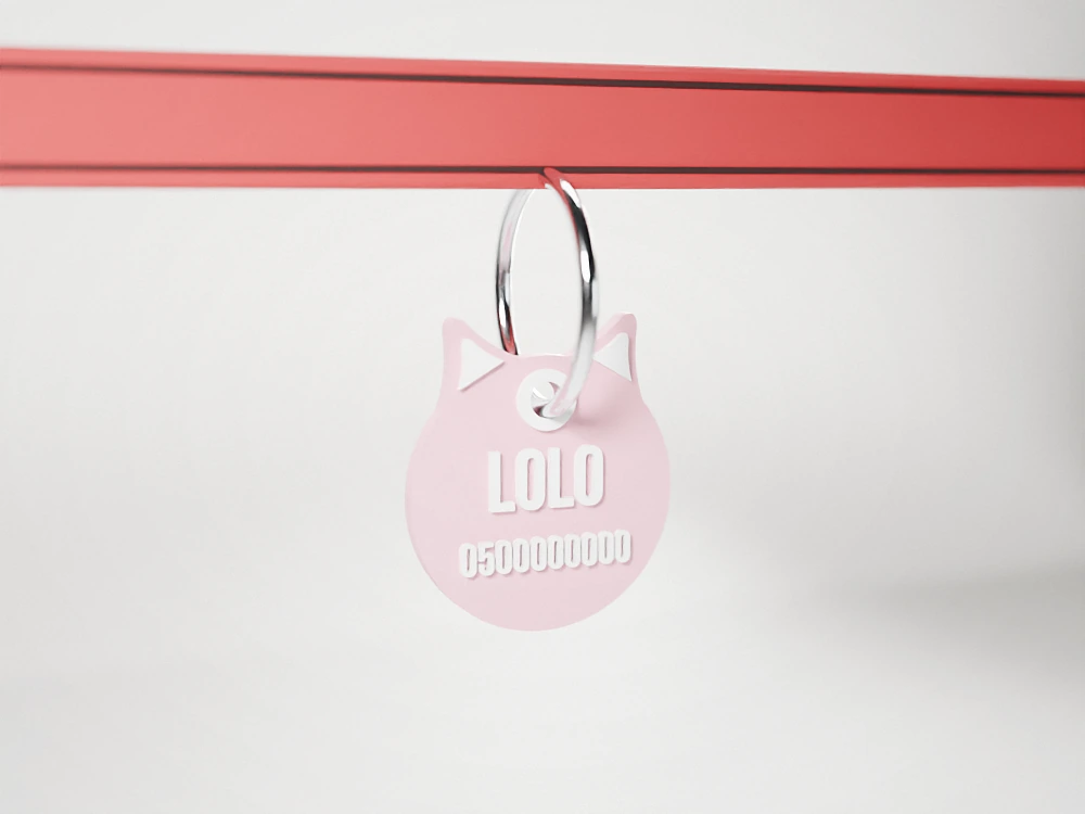 Cat collar tag with a name